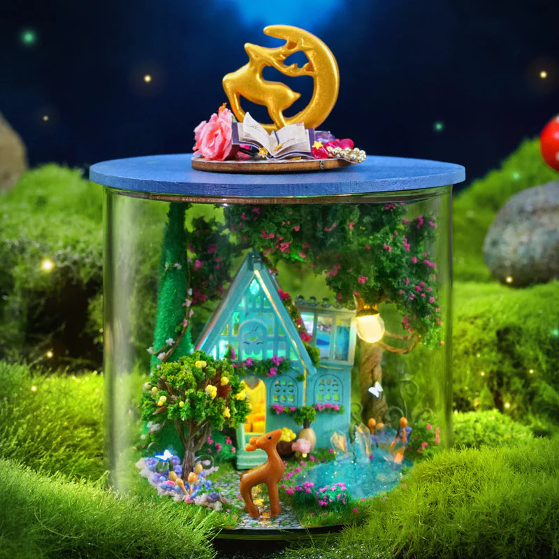 CR-B Series - Dream Bottle Series - Easy Level