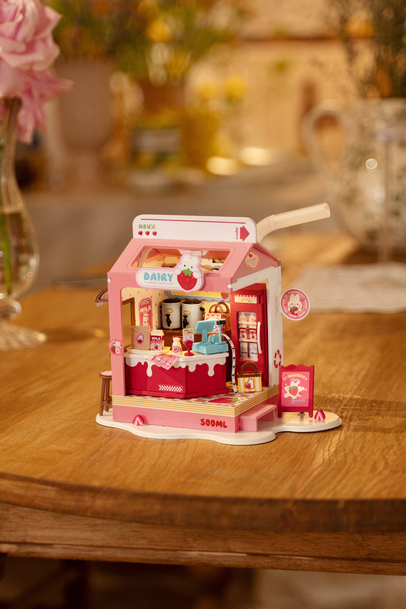 RT- Food Box Shop - DIY Miniature House Kit - Simple Level