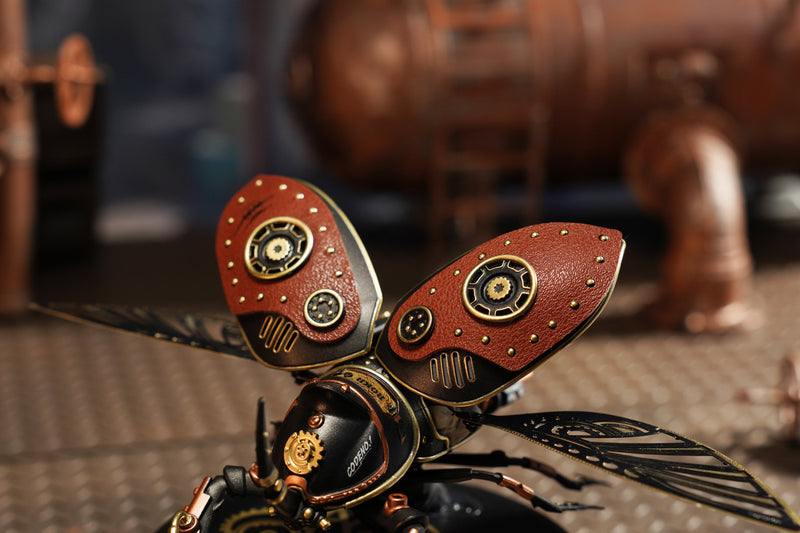 ROKR - Rhinoceros Beetle - Medium Level