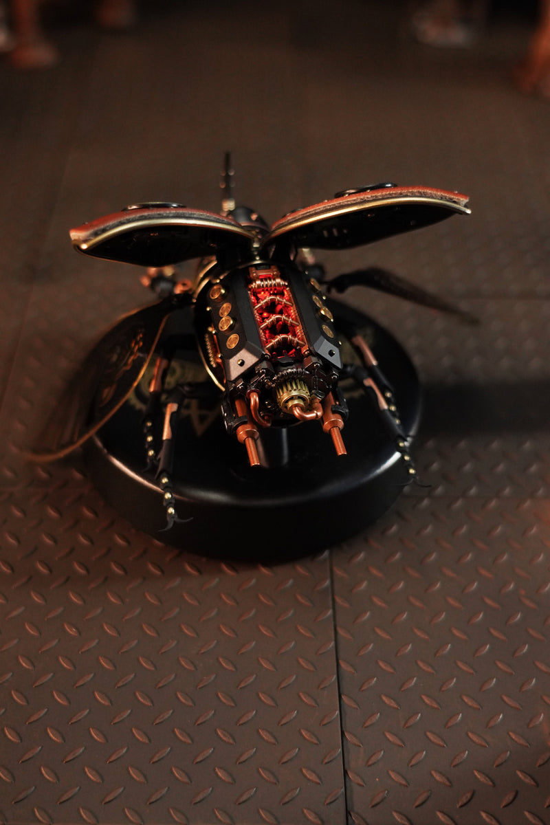 ROKR - Rhinoceros Beetle - Medium Level